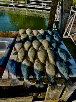 Fishing in Upalco, Utah