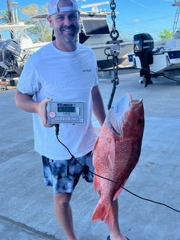 Red Snapper fishing in Freeport, Texas