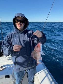 Fishing in Gulf Shores, Alabama