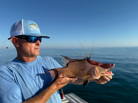 Fishing in Clearwater, Florida