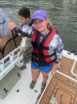 Black Drum fishing in Little River, South Carolina