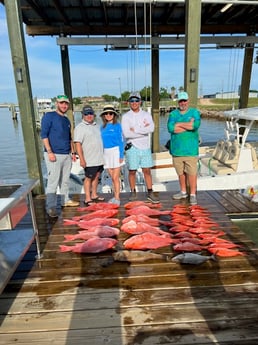 Amberjack, Black Grouper, Vermillion Snapper Fishing in Freeport, Texas