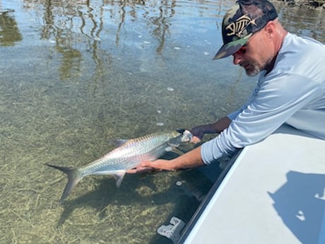 Tarpon Fishing in Big Pine Key, Florida
