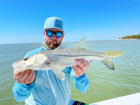 Snook Fishing in Tavernier, Florida