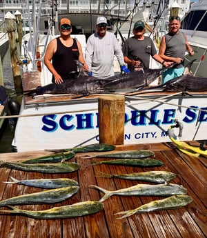 Fishing in Hatteras, North Carolina
