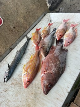 Fishing in Port Orange, Florida