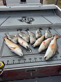 Fishing in Ingleside, Texas