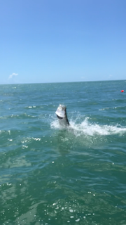 Fishing in Lakeland, Florida