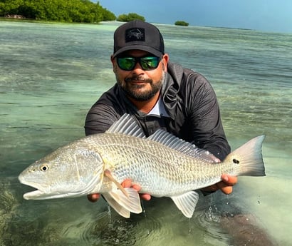 Redfish Fishing in Tavernier, Florida
