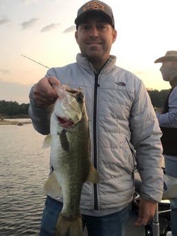 Largemouth Bass Fishing in Alba, Texas