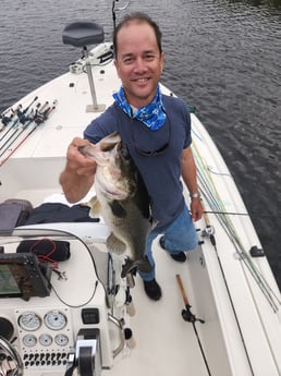 Largemouth Bass Fishing in Wellington, Florida