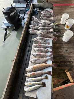 Fishing in Brownsville, Texas