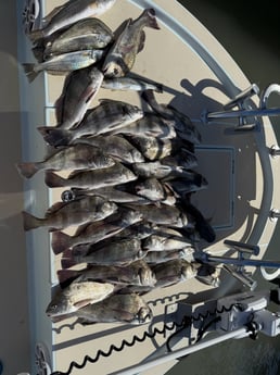 Fishing in Brownsville, Texas