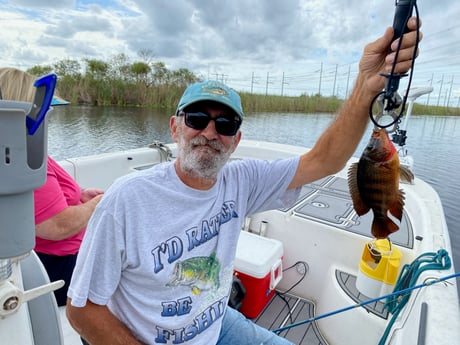 Fishing in Weston, Florida