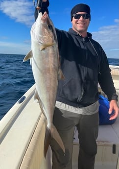 Amberjack Fishing in Destin, Florida