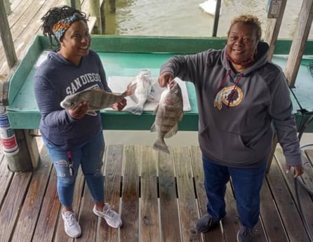 Black Drum fishing in Houston, Texas
