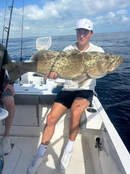 Gag Grouper Fishing in Miami, Florida