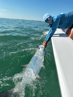 Fishing in Sarasota, Florida