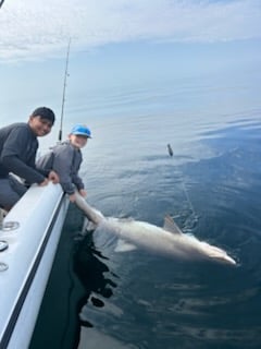 Fishing in Port Orange, Florida