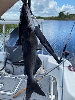Fishing in Pembroke Pines, Florida