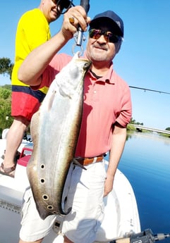 Clown Knifefish Fishing in Rockport, Texas
