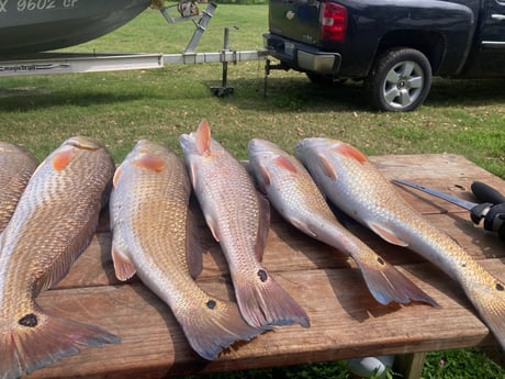 Fishing in Rockport, Texas