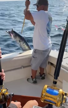 Wahoo fishing in Virginia Beach, Virginia