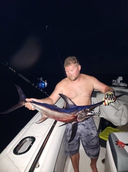 Fishing in Sarasota, Florida