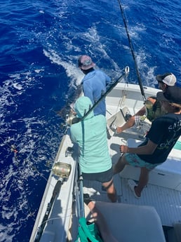 Fishing in Kailua-Kona, Hawaii