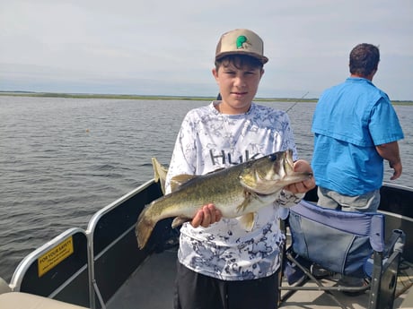 Largemouth Bass Fishing in Kissimmee, Florida