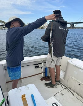 Fishing in Shalimar, Florida