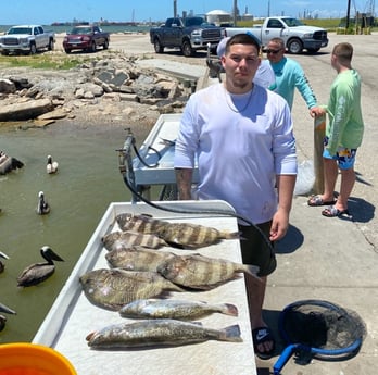 Sheepshead, Speckled Trout / Spotted Seatrout fishing in Texas City, Texas