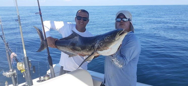 Fishing in Sarasota, Florida