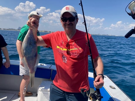 Triggerfish Fishing in West Palm Beach, Florida