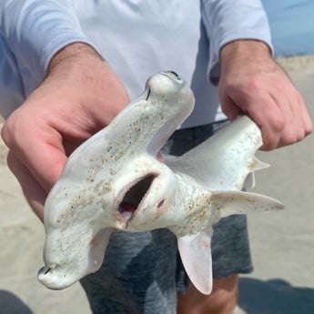 Fishing in Palm Coast, Florida