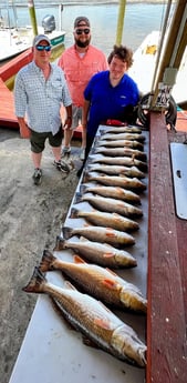 Largemouth Bass, Redfish fishing in Saint Bernard, Louisiana