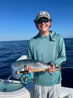 False Albacore Fishing in Jupiter, Florida