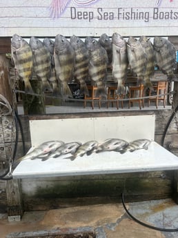 Fishing in Niceville, Florida