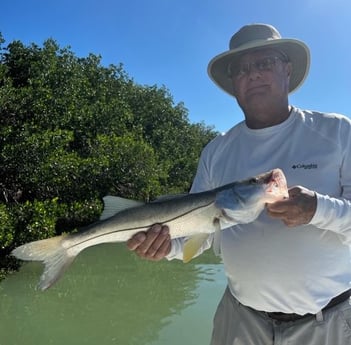 Snook Fishing in Islamorada, Florida