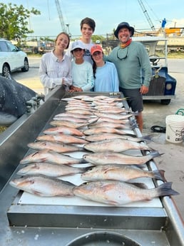 Mangrove Snapper Fishing in Marathon, Florida