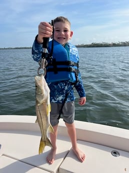 Fishing in Sarasota, Florida
