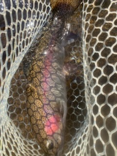 Fishing in Broken Bow, Oklahoma