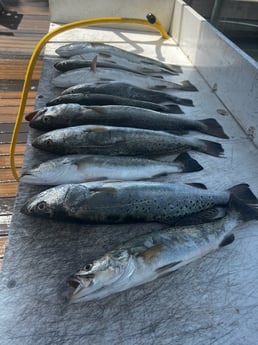 Fishing in Port Isabel, Texas