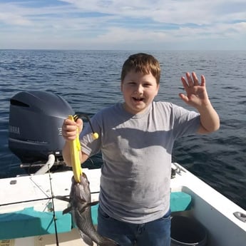 Triggerfish fishing in St. Mary&#039;s, Georgia