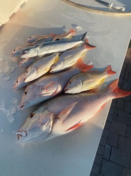 Fishing in Key West, Florida