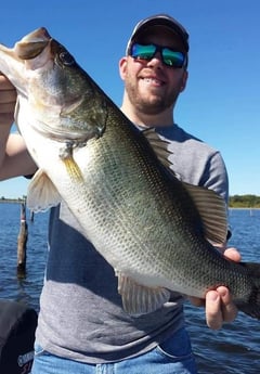 Largemouth Bass Fishing in Alba, Texas