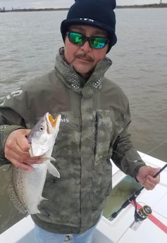 Speckled Trout / Spotted Seatrout fishing in San Leon, Texas