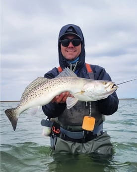 Speckled Trout Fishing in Port O&#039;Connor, Texas