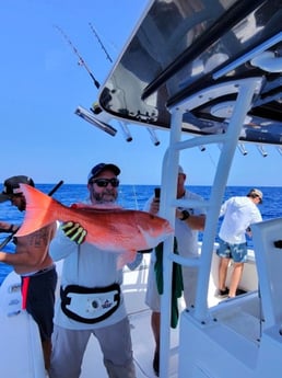 Fishing in Sarasota, Florida