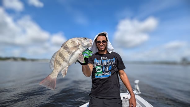 Fishing in Jacksonville, Florida